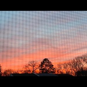 Meet your Posher, Rosalinda